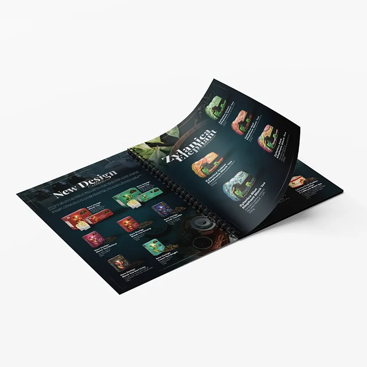 Projekt katalogu produktowego dla firmy Delpi Imex Tarnów - portfolio agencji marketingowej Tarnów