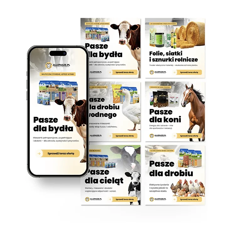 Materiały reklamowe do kampanii Google Ads dla Allepasze.pl - portfolio agencji marketingowej Wrocław
